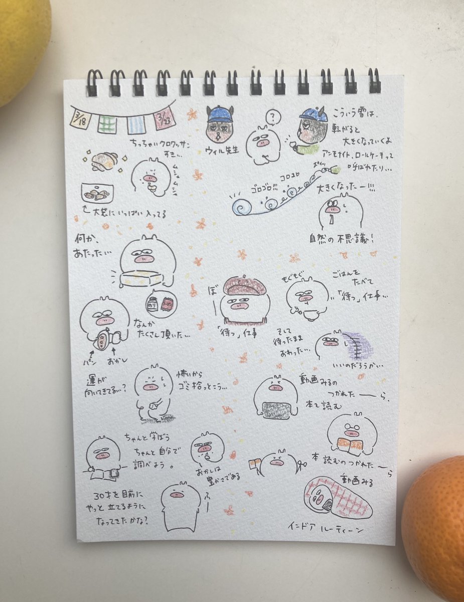 時代はぶたちゃん。/ふじいむつこ (@mtk_buta) / X 時代はぶたちゃん。/ふじいむつこ (@mtk_buta) / X