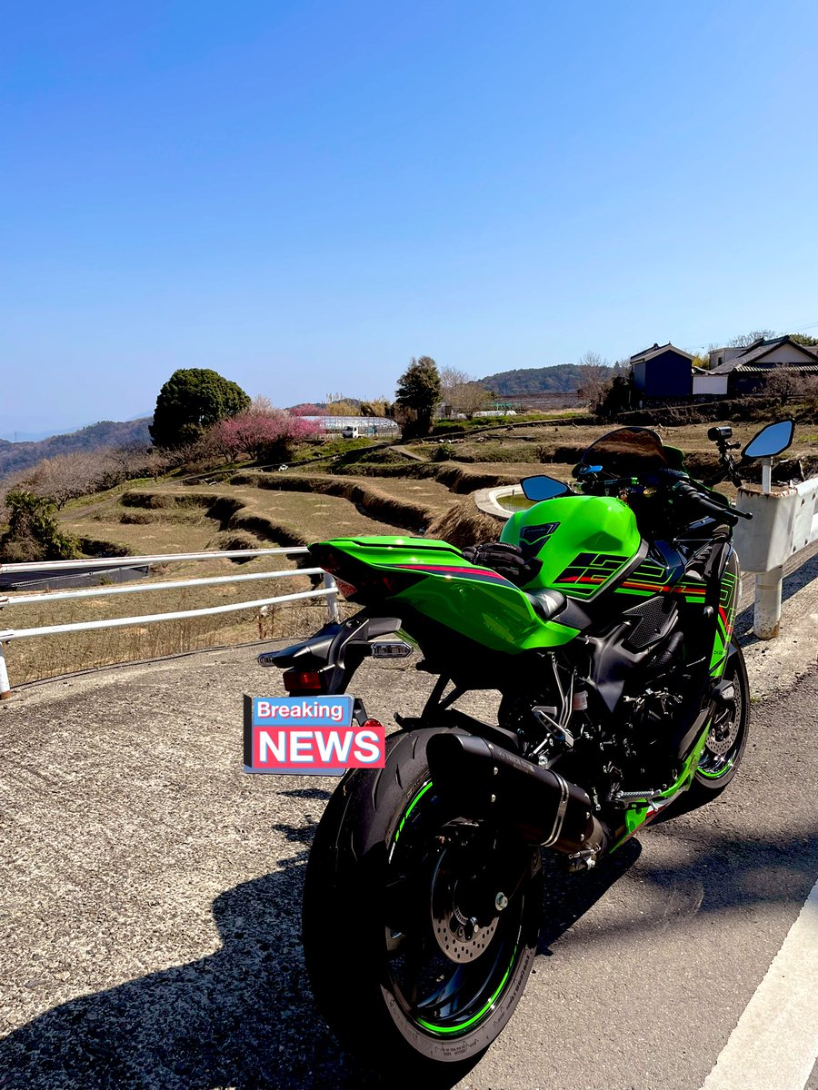 sintaK333's tweet photo. 今日は春を🌸🍀求めて走りましたが初夏のような暑さにエンジンも冬ジャケの私も悲鳴を上げてました😆💦

帰り道にお気に入りの雷神ラーメンさんで燕三条ラーメンをいただきました🤗
魚介ダシに背脂とたっぷりきざみ玉ねぎが太麺に絡みとっても美味でした🍜😋

無事に帰宅✌️🏠🏍️お疲れさまでした🙇 https://t.co/DqnGjvFseN