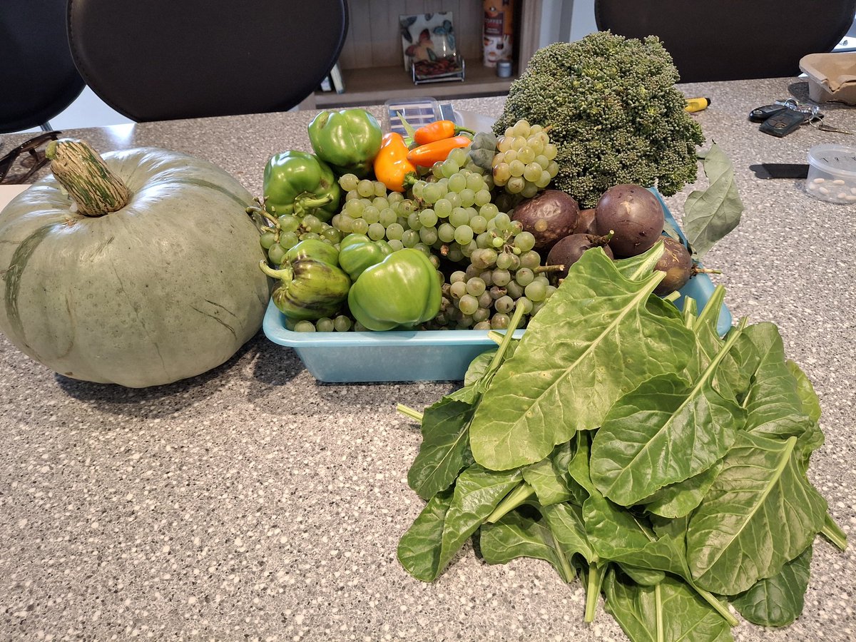 Terry & Andrea Hanson tweet media