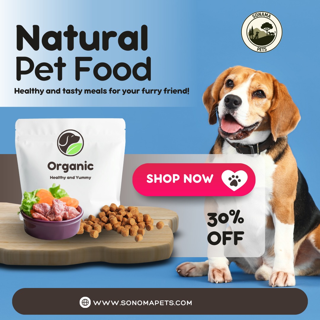 SonomaPets's tweet photo. Bringing Joy, One Paw at a Time! 🐾

At Sonoma Pets, we believe every pet deserves love, care, and a forever home!

🌐 Explore Now: 👉 https://t.co/5dpQIwXwqH

#SonomaPets #AdoptAPet #HappyTails #PetLovers #AdoptDontShop #HealthyPets #FurryFriends https://t.co/cCtrmQVs4t