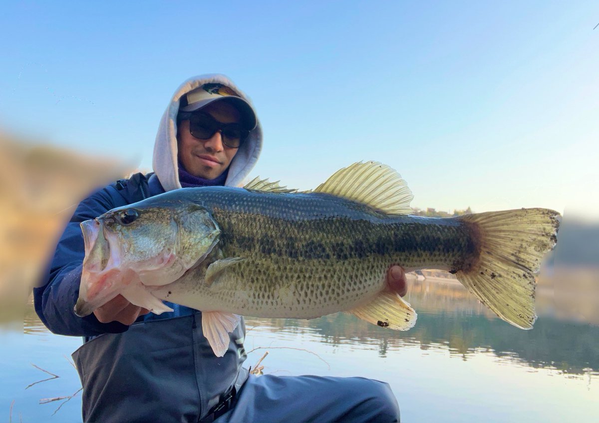 ikemenchitta's tweet photo. 今日のAMフィッシング🎣
今年はいい日に当たれて捉えられてる。
57cmの3120gと50cm。
沖をクルーズしてる天才達が口を使う一瞬のタイミング。
当たれば天国外せば地獄、、、
春やなぁ🌸 https://t.co/nDvpxUoGo2