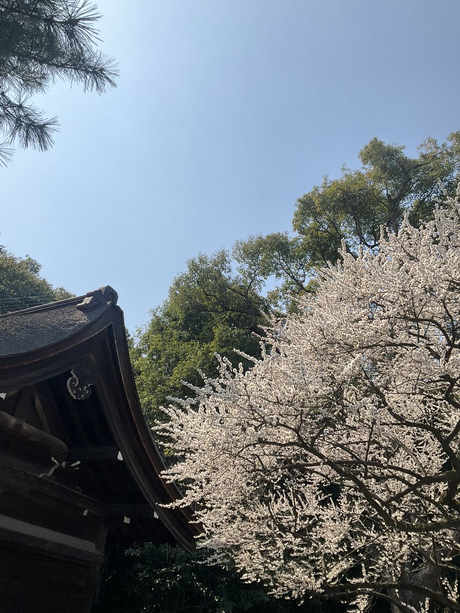 皆さんにお裾分け - Search / X