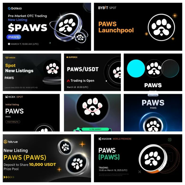 Big Brother Bear 🐻 tweet media