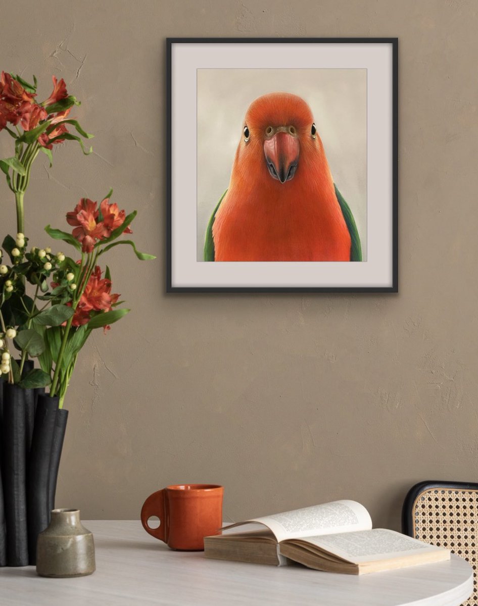 I felt like working with colour on this rainy weekend… so I whipped up this king parrot (as you do 😉). Pastel pencils on Pastlemat.