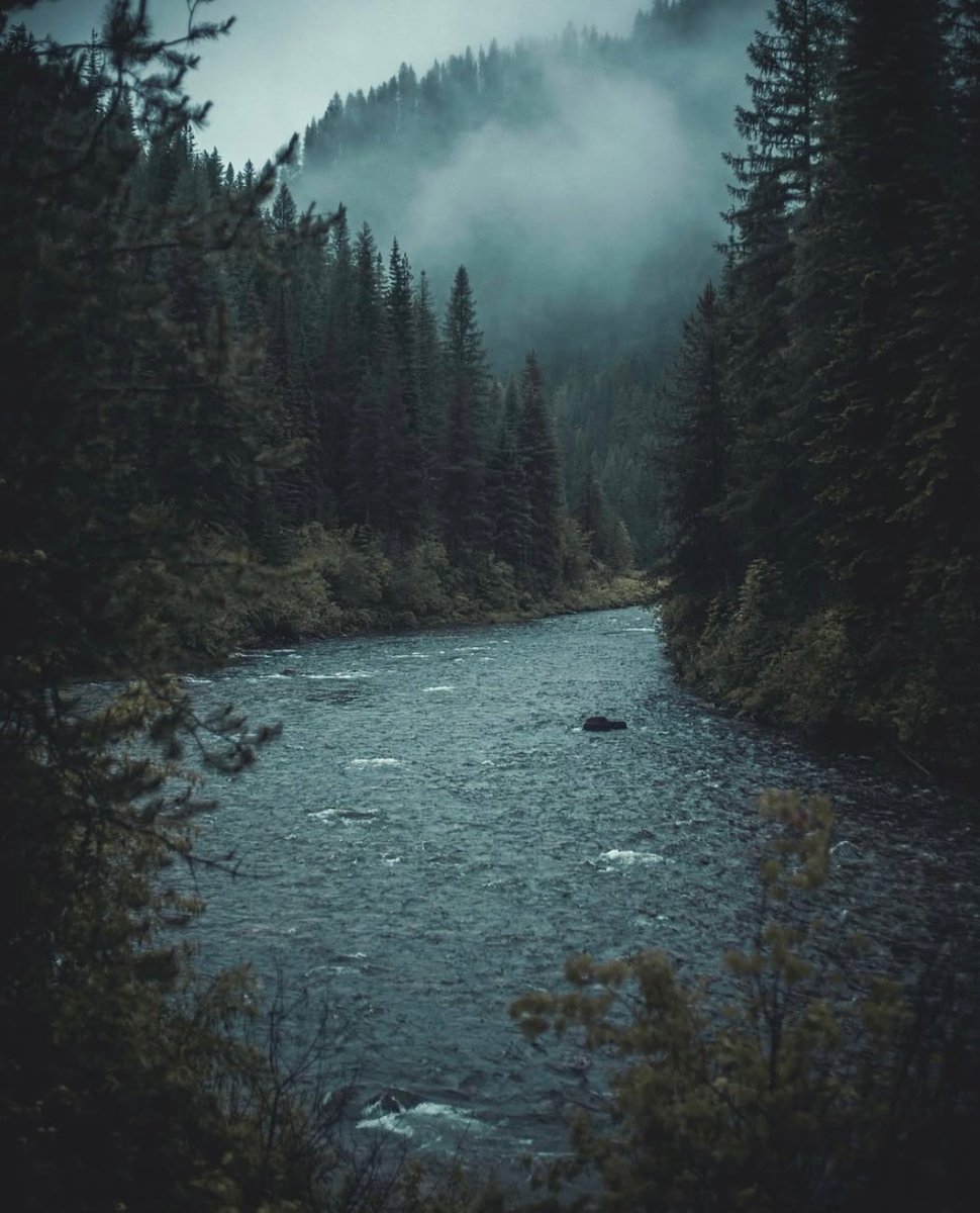 earthcurated's tweet image. — nature’s masterpiece 🍃