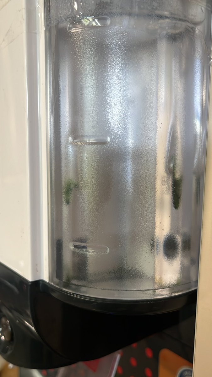 amitq3edge's tweet photo. @AOSmithHotWater are you guys sadak chaap product development company. ur engineers have no knowledge on why the water tank is getting algae. How can any water purifier get algae. https://t.co/8yt7QdHO3r