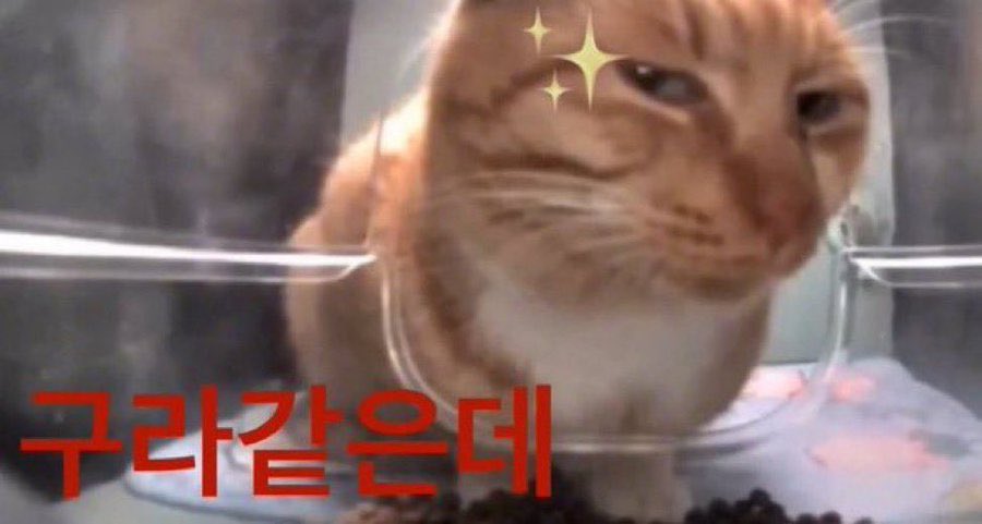 단후 (@etrt_dan) on Twitter photo 