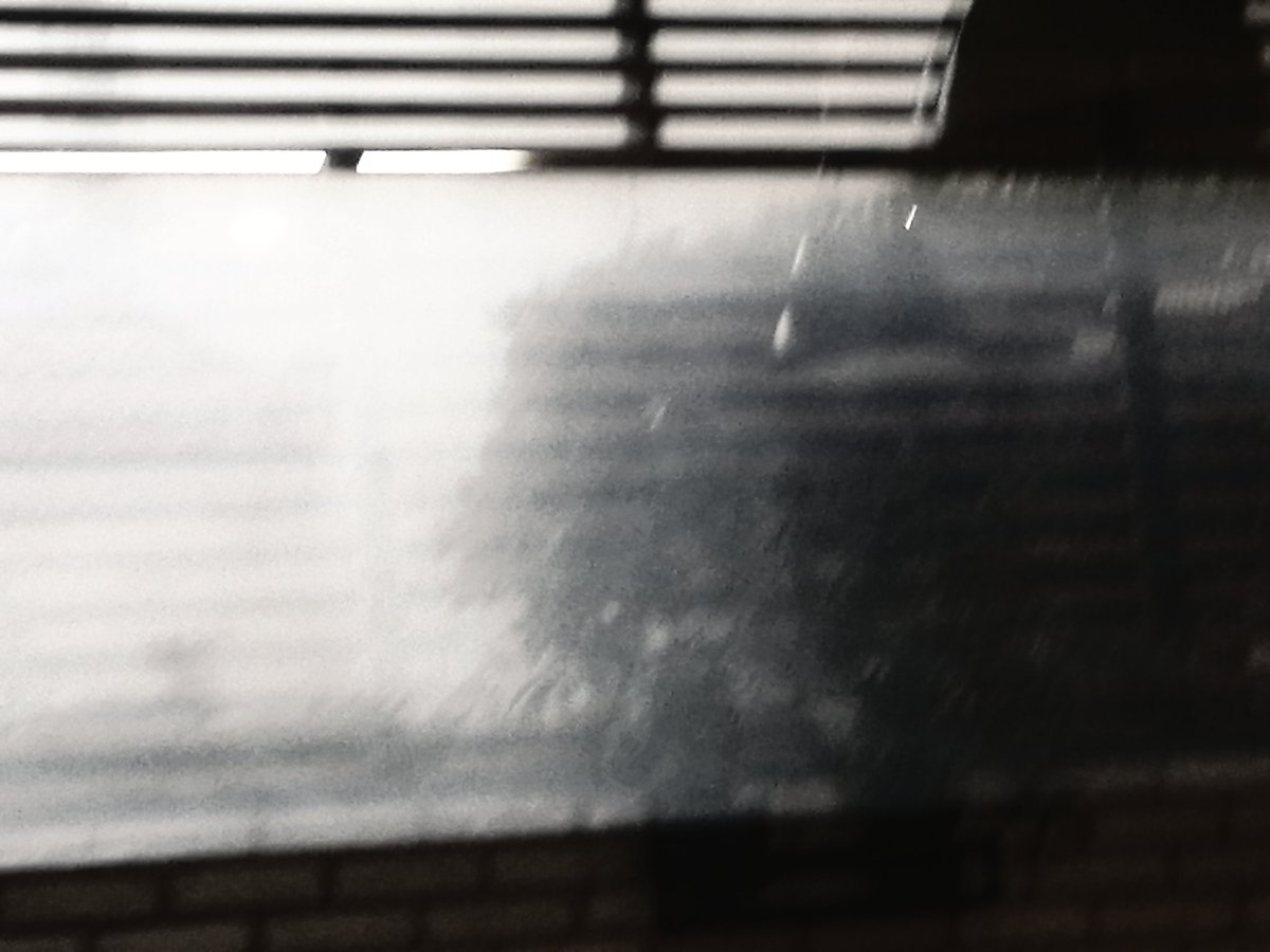 paraxeno daimonio ᴺᶠᵀ plektani-art, Christina S. tweet media