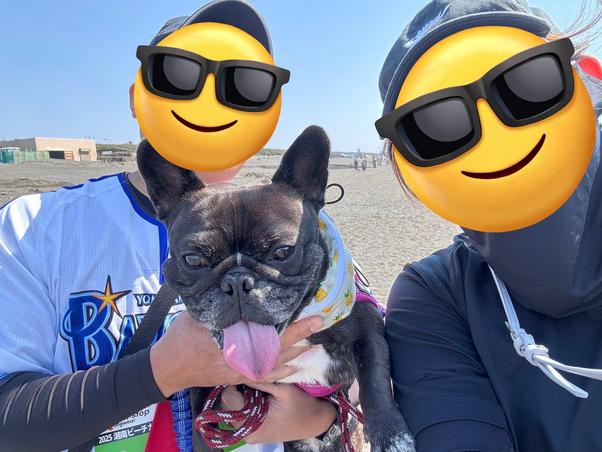 bayTK5's tweet photo. 本日は
2025湘南ビーチカニクロスノンストップカップ出場のため辻堂へ
結果はDNF🥺
1キロ走りました🐶
砂浜の難しさを感じました🏖️
暑かったね🥵お疲れ様🐶
帰り際
わんちゃんも店内OKの
JUNKSTANDさんへ
ジューシーなハンバーガーでした🍔
ズバズバいきました😊
#湘南ビーチカニクロス
#JUNKSTAND https://t.co/pdyxvEi1Gt