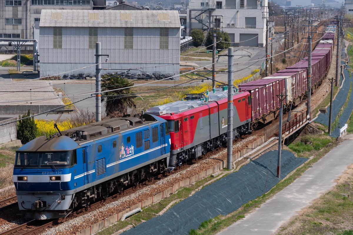 1086Mugicha's tweet photo. 2025.3.23
2073レ EF210-121+ﾑﾄﾞEH500-67

原色を入れてください。 https://t.co/5cpajvqsEP