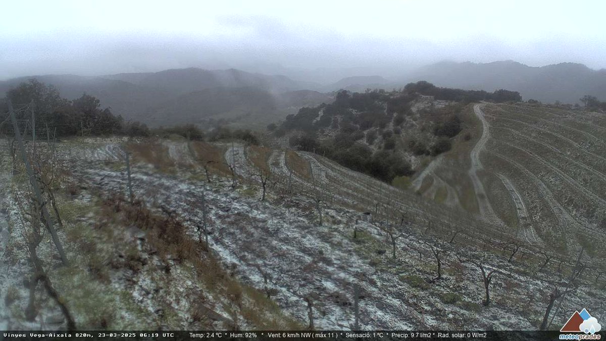 Bon dia! ❄️❄️❄️ Nevant ara mateix al Tossal de la Baltasana (1200m), Prades i Rojals (900m), i fins i tot a la Serra de la Llena (800m). Bons desplomes de cota acompanyats de nuclis tempestuosos ⛈️
