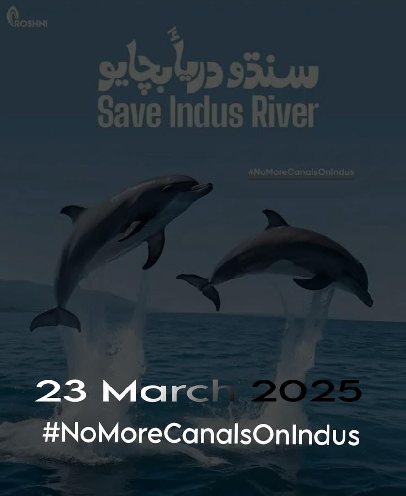 مهراڻ جي هر هڪ  ڇولي مان ،
ٿو سنڌو جو آواز اچي.

#NoMoreCannalsOnIndus
