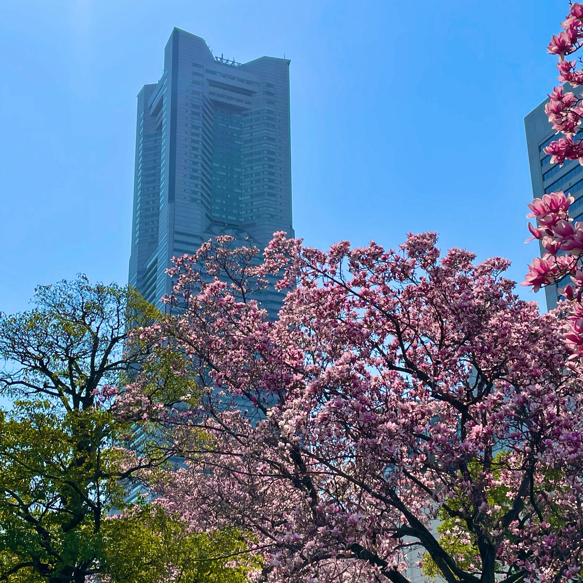 開幕秒読み✨横浜奪首✨