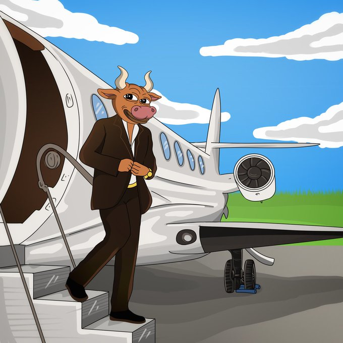 Toro the bull tweet media