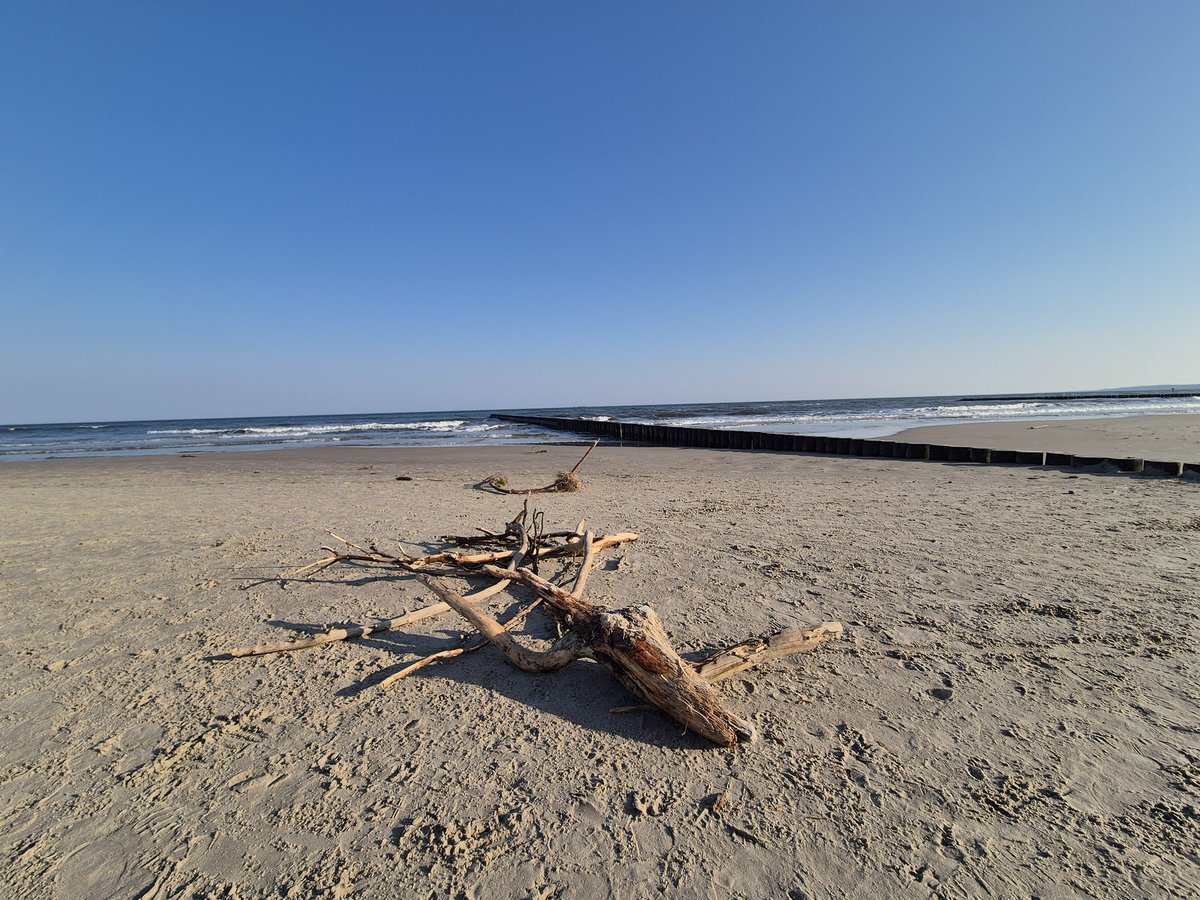 PrzemekWos74's tweet photo. Ustka
8.00 rano
#BatlicSea https://t.co/eRfZ2K9Z8U