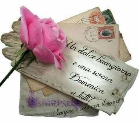 RITABIANCHi56 tweet media