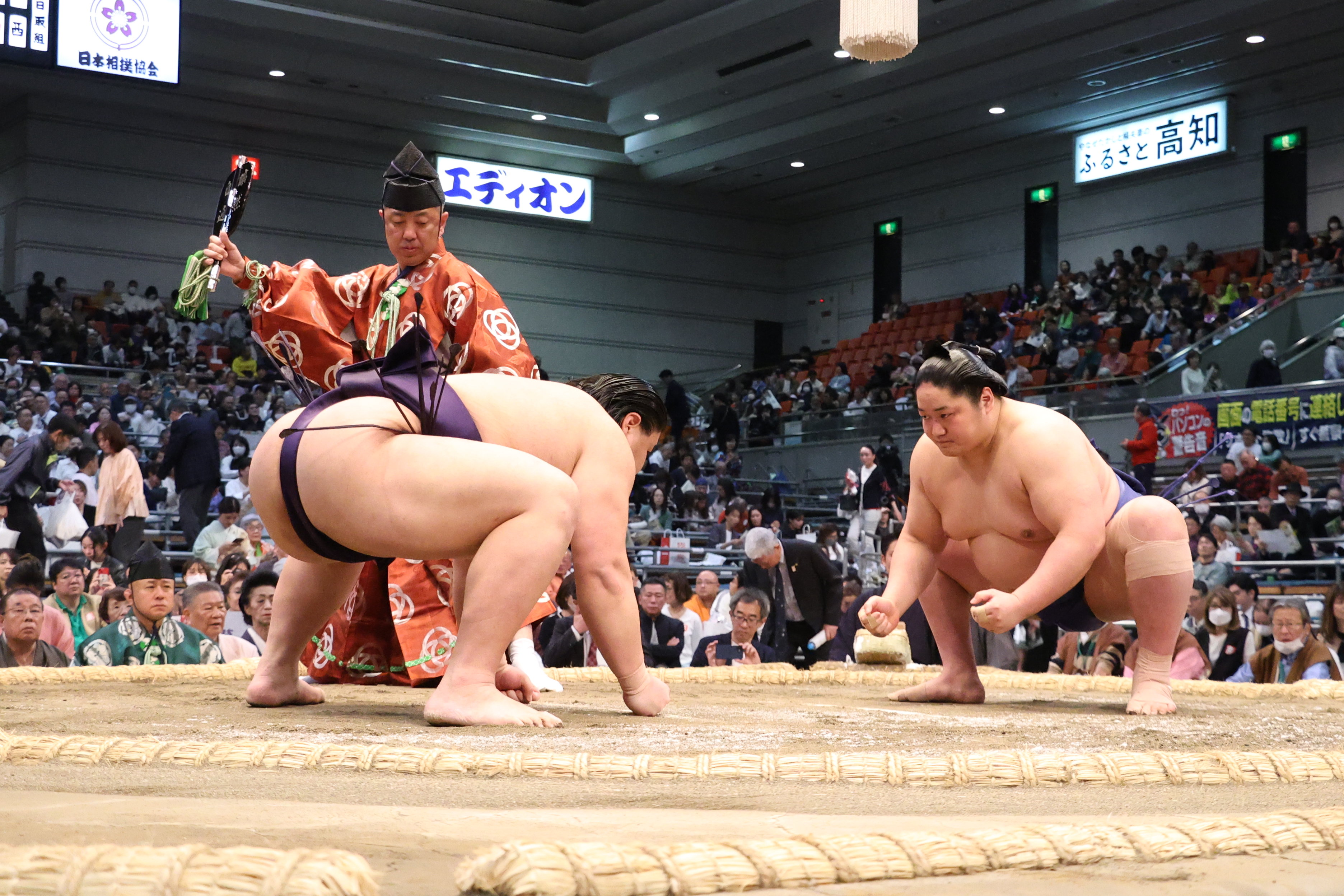 aoharuna_2542-005471
