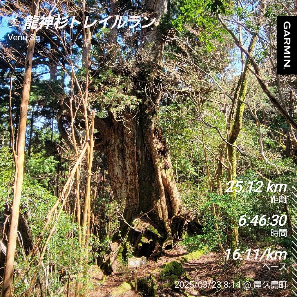 Voicyランニングクラブ tweet media