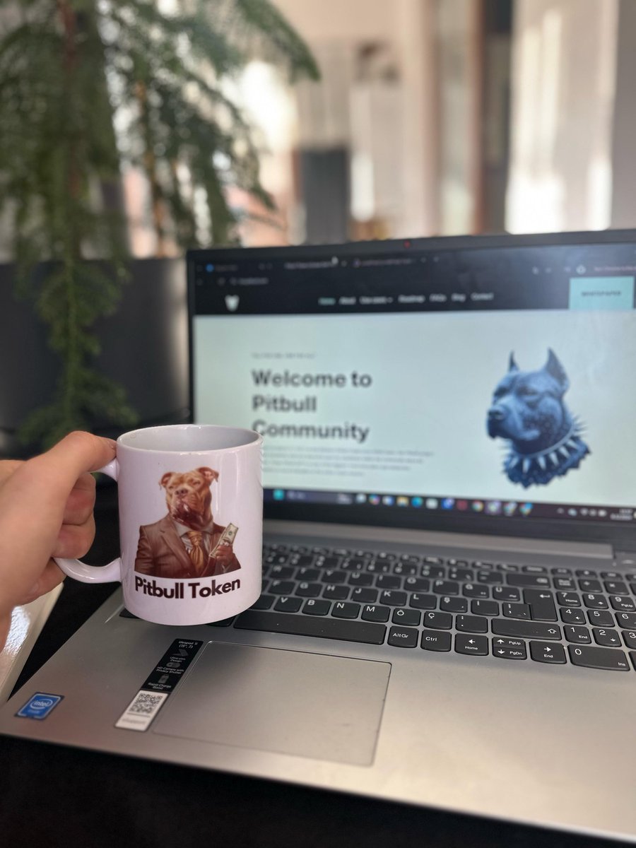 Pitbull Token tweet media
