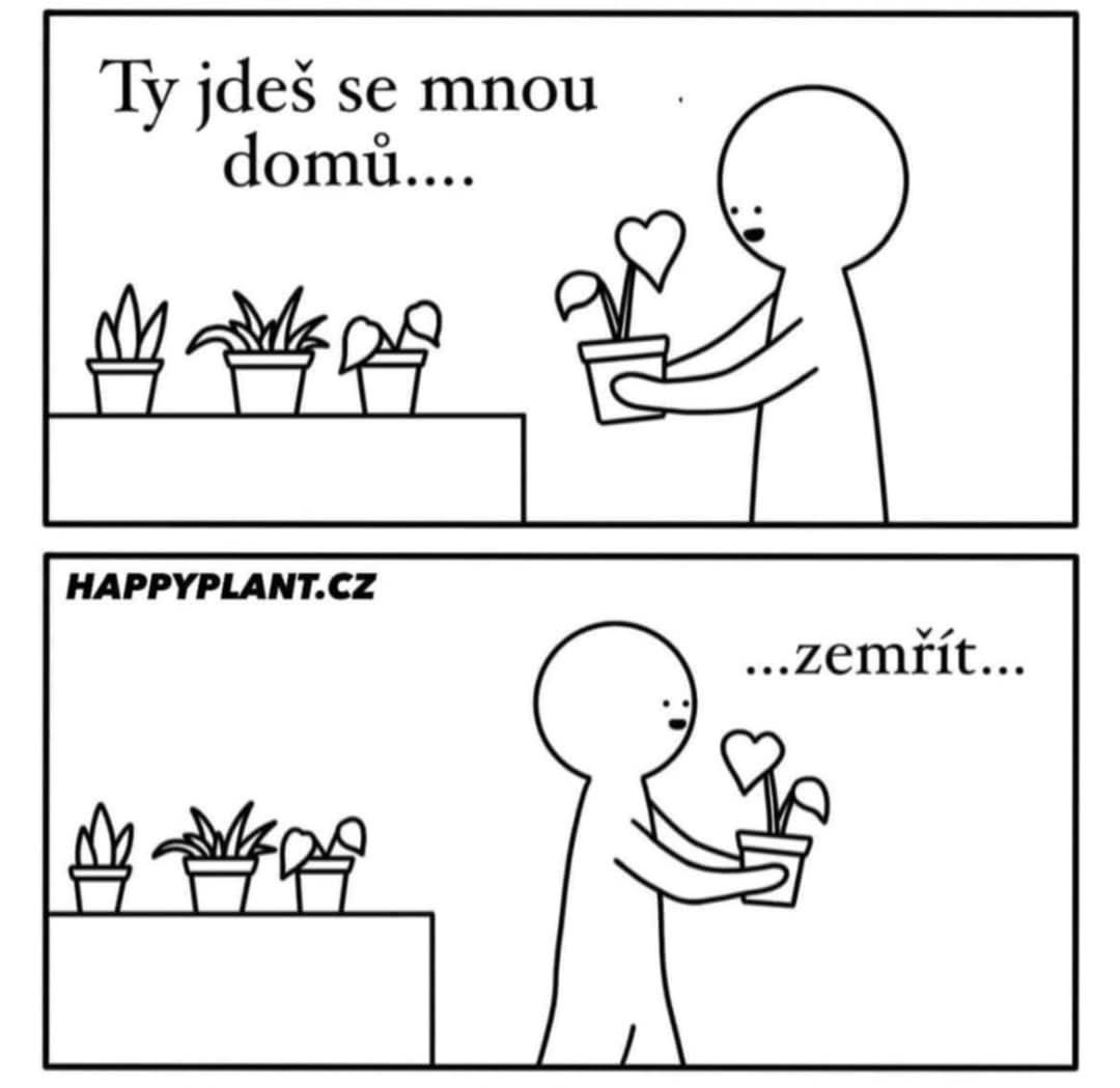 lucieKPAX's tweet photo. 😂😂😂 To mi něco připomíná🫣 https://t.co/6oGvm4wQtf