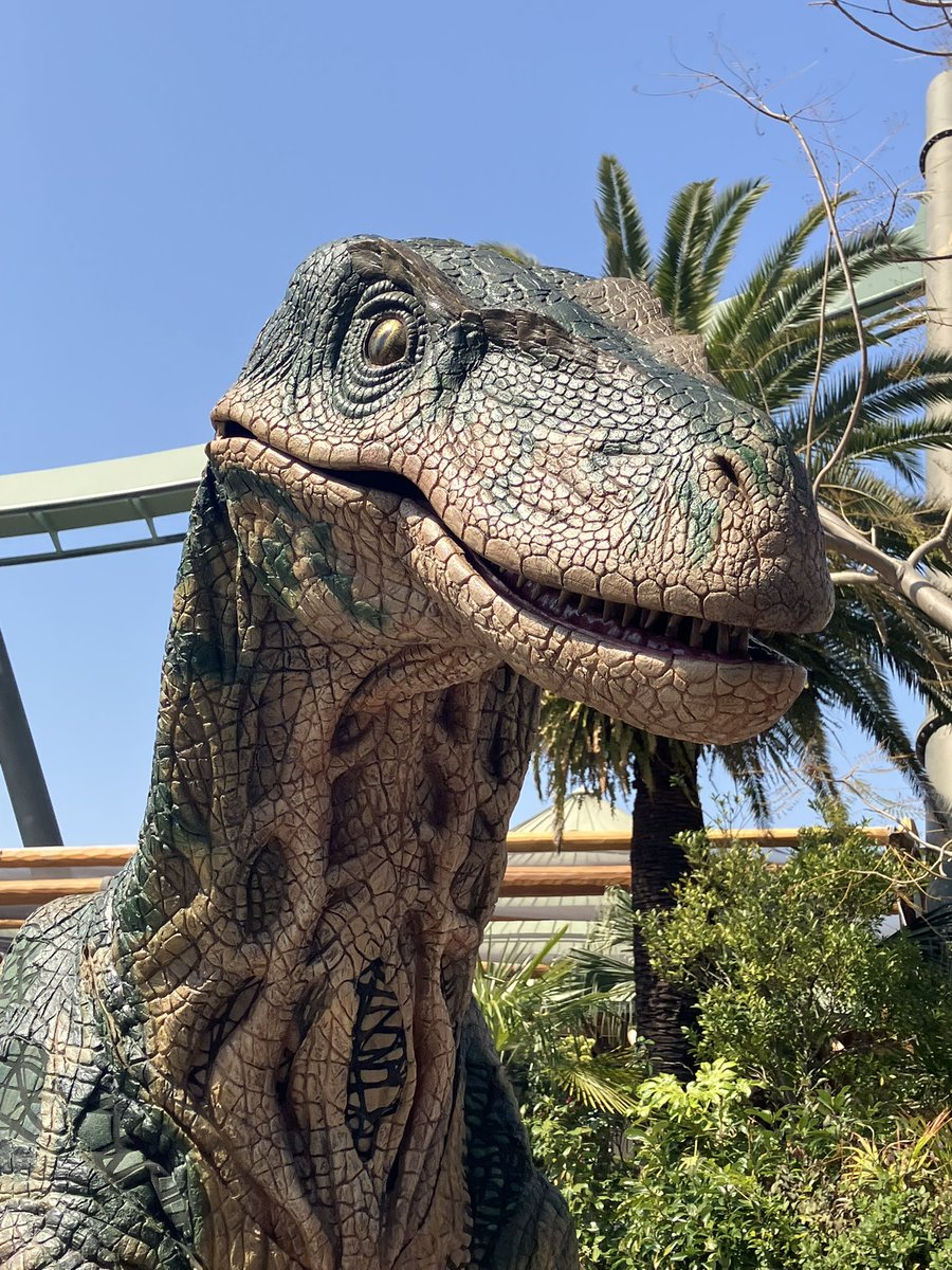 itida2735's tweet photo. The cast at USJ is top-tier! 🎭✨ Their performance quality is simply unbeatable. #UniversalStudiosJapan #NextLevelEntertainment https://t.co/j2xzqvDAKv