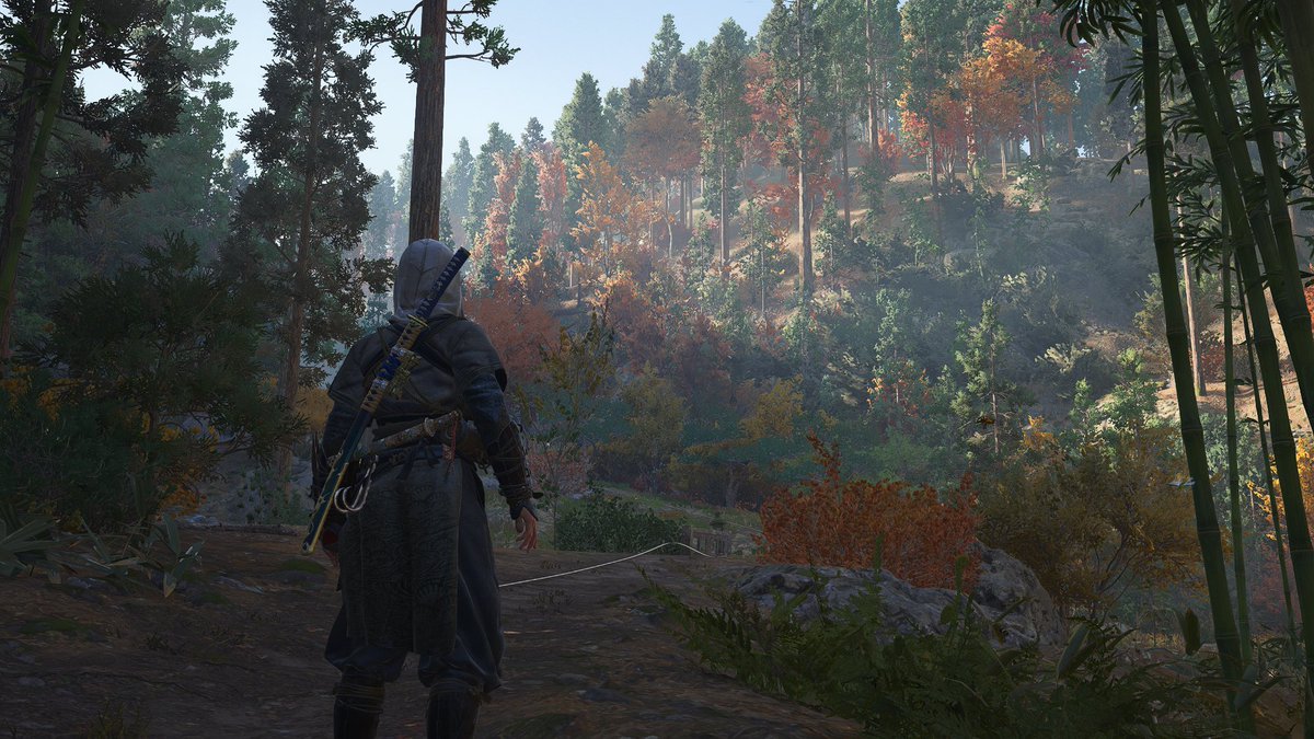 DusteeYT tweet media