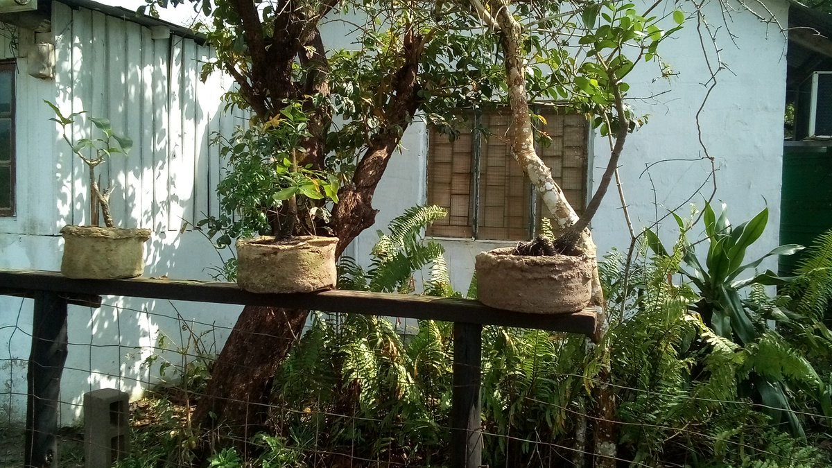 info4u2use's tweet image. @Lu47Ki most folks using the #InterWebs have no clue about semantic Engineering and semantic connectedness variables like #EEATvariables.
EEAT Experience, Expertise, Authority and Trust
Good #EEATscores are not difficult, problem is folks do not understand #DigitalTrust and #EEAT