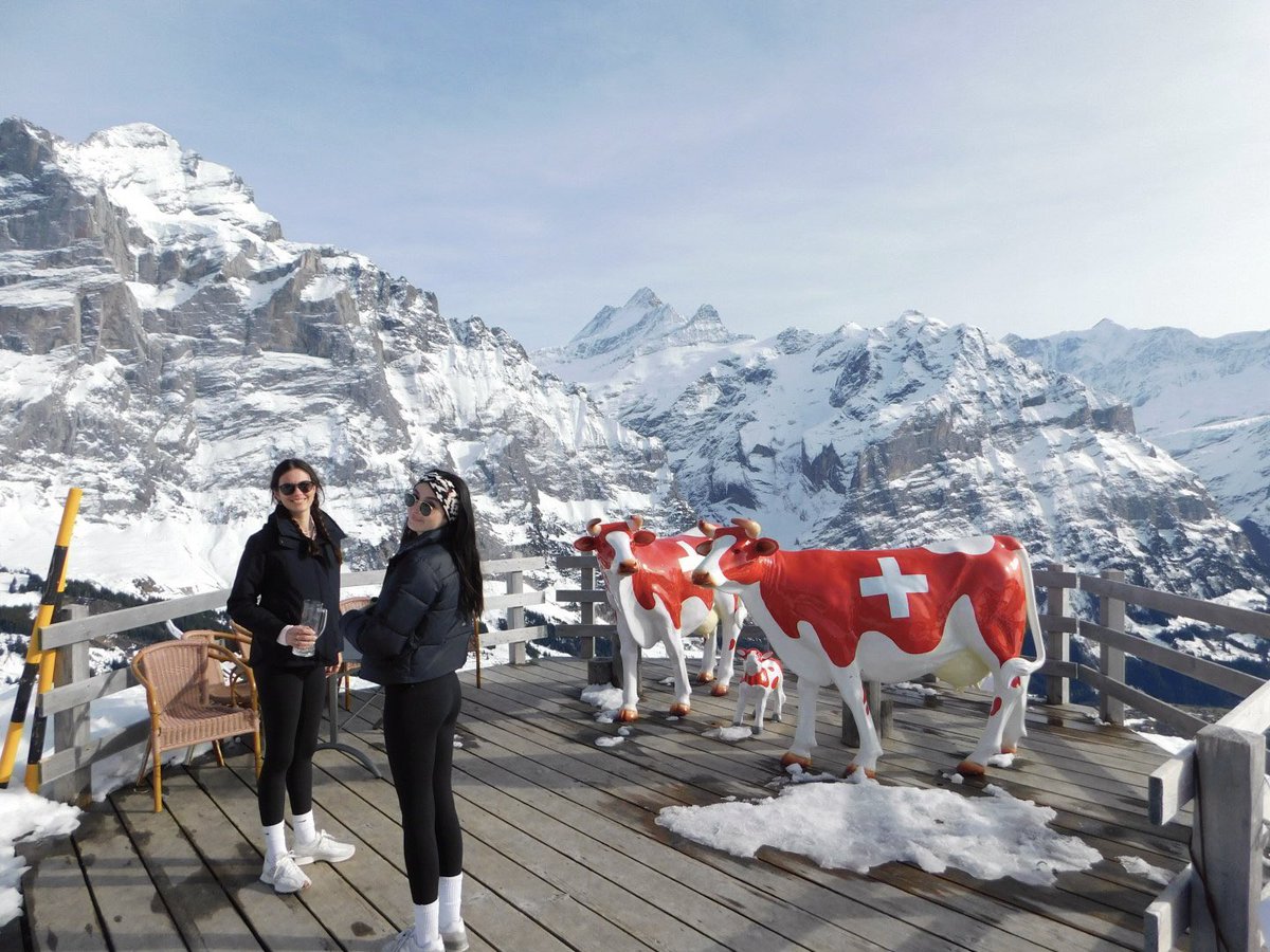 avavail's tweet photo. luzern, interlaken &amp; grindelwald https://t.co/U6cTaIqWOJ
