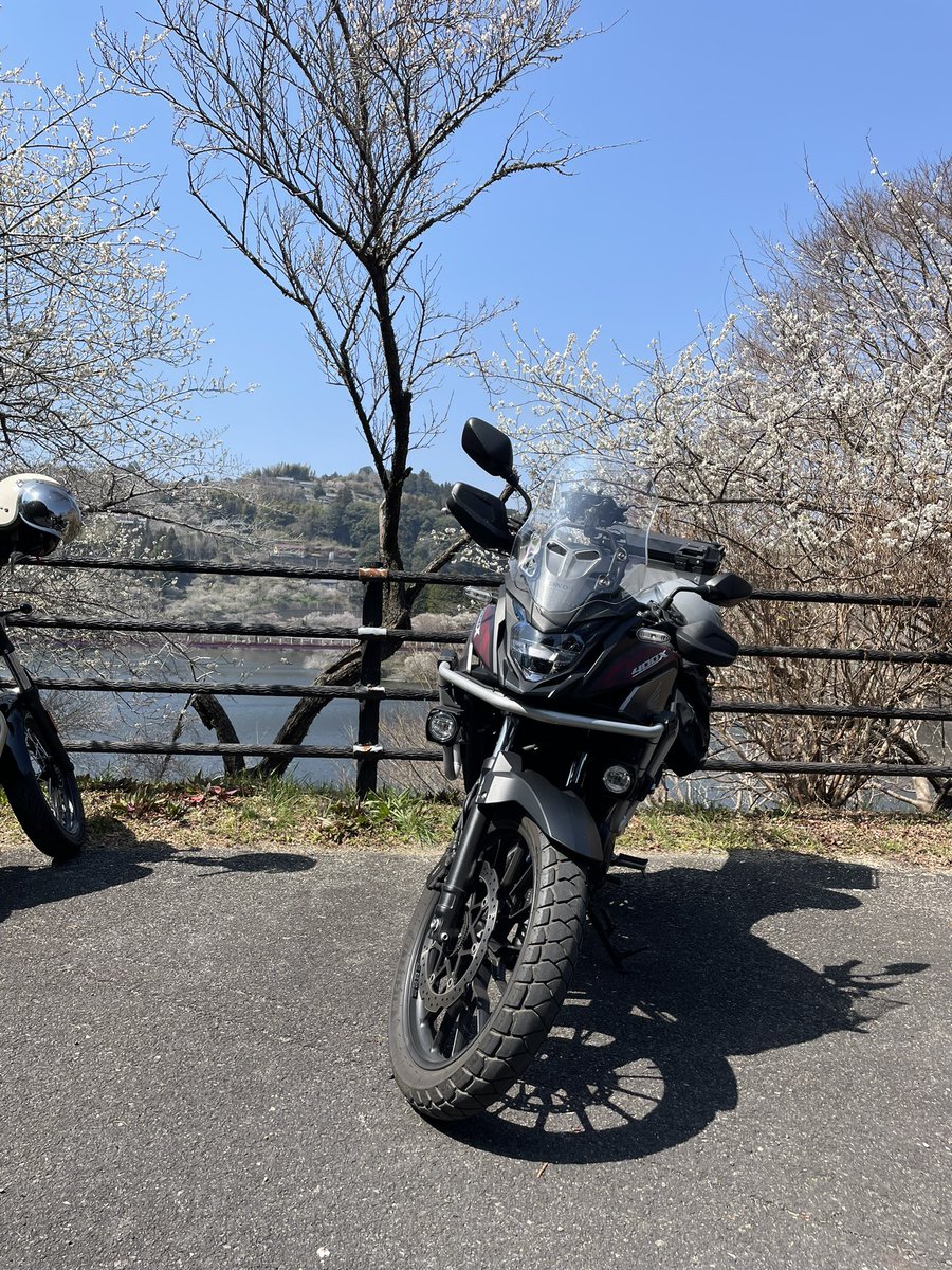 hydrogen_400x's tweet photo. やっと春が来たね〜🌸

はよ桜咲いてくれい

#400x https://t.co/6EevzYgY4V