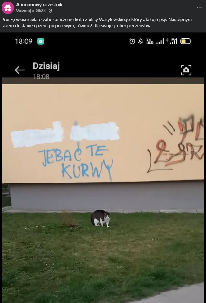 deZeZed's tweet photo. W Nysie grasuje koci gangster. Nie dość, że atakuje policję, to i po blokach maluje. https://t.co/2NJ7TYGrbC