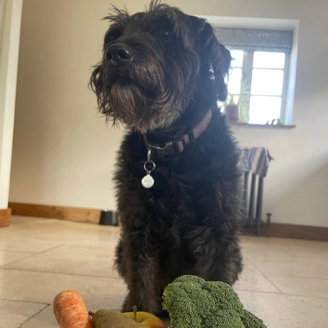 Not only is it #WorldPuppyDay - it is also the end of #FoodWasteActionWeek for another year.

All week we've been chatting all things loose fruit and veg. But if our expert statistics, carefully curated videos, and inspiring influencers haven't managed to persuade you to spread