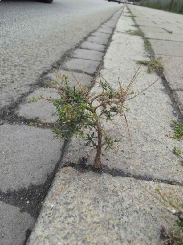 Η δύναμη του να συνεχίζεις στη ζωή.. 
💚