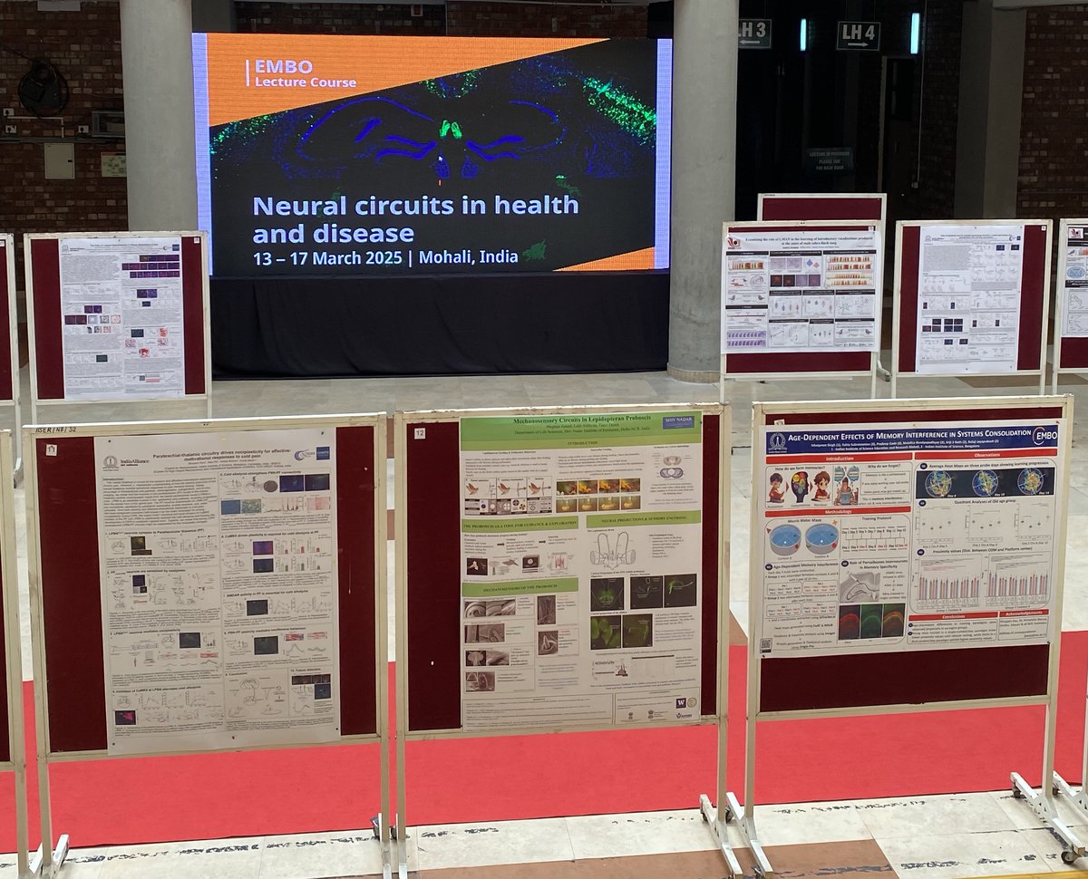 Hasan Mohammad (@hasanmo88171110) on Twitter photo Thank you <a href="/EMBO/">EMBO</a> for supporting the Global Lecture series on Neural Circuits in Health and Disease (13-17March 2025) <a href="/IiserMohali/">IISER Mohali</a>. Enjoyed organizing this event with <a href="/BarikkArnab/">Arnab Barik</a> <a href="/VatsalaT/">Vatsala Thirumalai</a> and <a href="/EDarcq/">Emmanuel Darcq</a>. A heartfelt thanks to all speakers and participants for making it a success. Thank you <a href="/EMBO/">EMBO</a> for supporting the Global Lecture series on Neural Circuits in Health and Disease (13-17March 2025) <a href="/IiserMohali/">IISER Mohali</a>. Enjoyed organizing this event with <a href="/BarikkArnab/">Arnab Barik</a> <a href="/VatsalaT/">Vatsala Thirumalai</a> and <a href="/EDarcq/">Emmanuel Darcq</a>. A heartfelt thanks to all speakers and participants for making it a success.