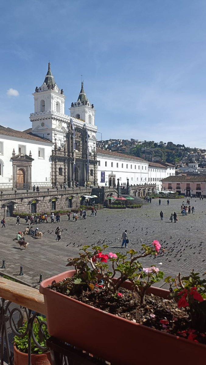 APGP_org tweet media