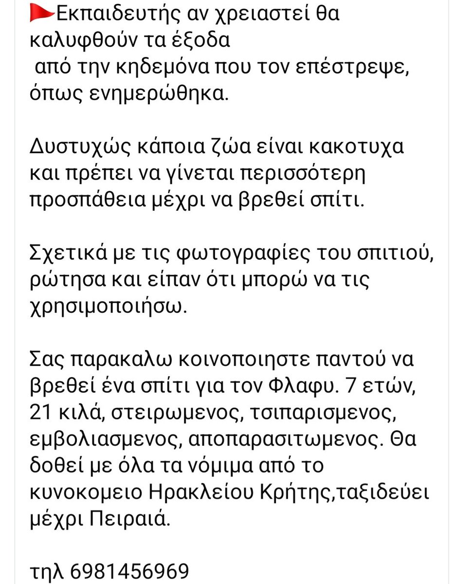 🆘️🆘️🆘️
Ο Φλαφυ 7 ετών 
Πέθανε ο κηδεμόνας του κ πήγε σε νέο σπίτι!Λάτρεψε τη γυναίκα του σπιτιού αλλά με τους άντρες δν τα πήγε καλά κ έτσι επεστραφη στο κλουβί
Ζητείται υιοθεσία κατά προτίμηση χωρίς άλλο ζωάκι κ καλυτερα από γυναίκα!Στειρωμενος με τσιπ
Rt 🙏 🙏 🙏