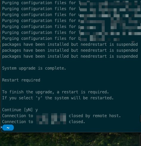 SwalahAmani's tweet image. Giving ‘y’ to the restart after a server OS upgrade feels like disconnecting the ventilator after major surgery.🫣

You just hope the heartbeat returns when it boots back up 🫀🤞

#ServerUpgrade #TechNerves