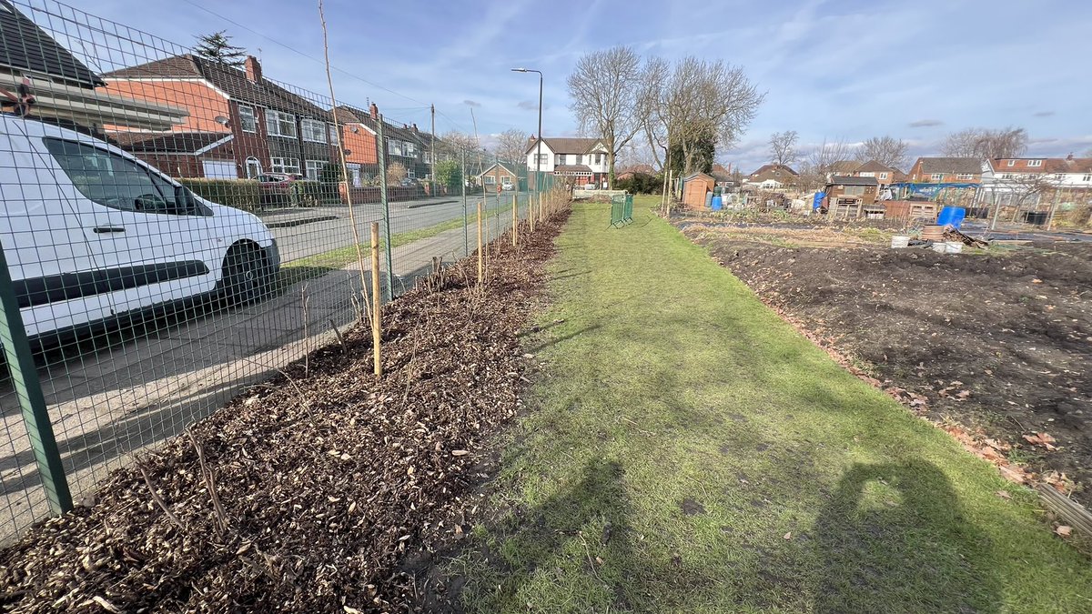 GP_allotment's tweet photo. The border at Westbourne is planted! 

It features a flowering cherry tree walk, long flowerborder and roseborder. 

A big thank you to:

-Forever Manchester 
-RHS Garden Bridgewater 
-ConvertMy 
-Our members who have helped clear and plant the border - particularly our Chair Ian https://t.co/AkFDL7226Y