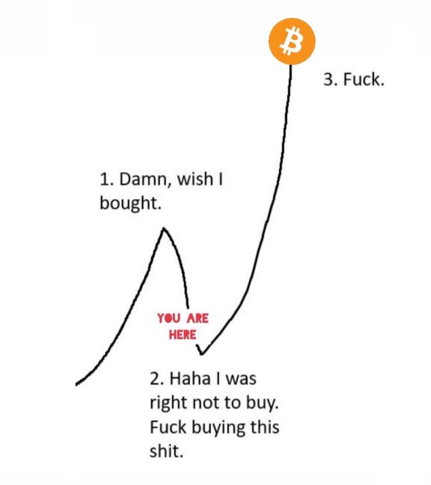 Never lose hope