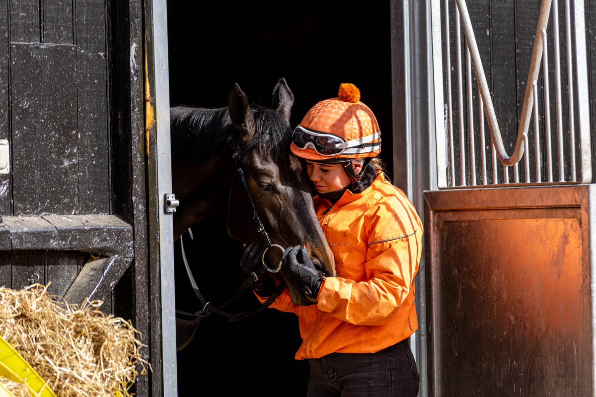 WilliamHaggas's tweet image. Quiet moments with the team and some of their stable favourites 🧡

#SL #SomervilleLodge #HorseRacing