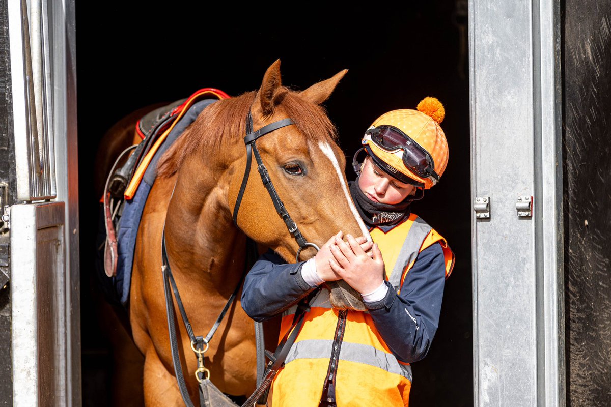 WilliamHaggas's tweet image. Quiet moments with the team and some of their stable favourites 🧡

#SL #SomervilleLodge #HorseRacing
