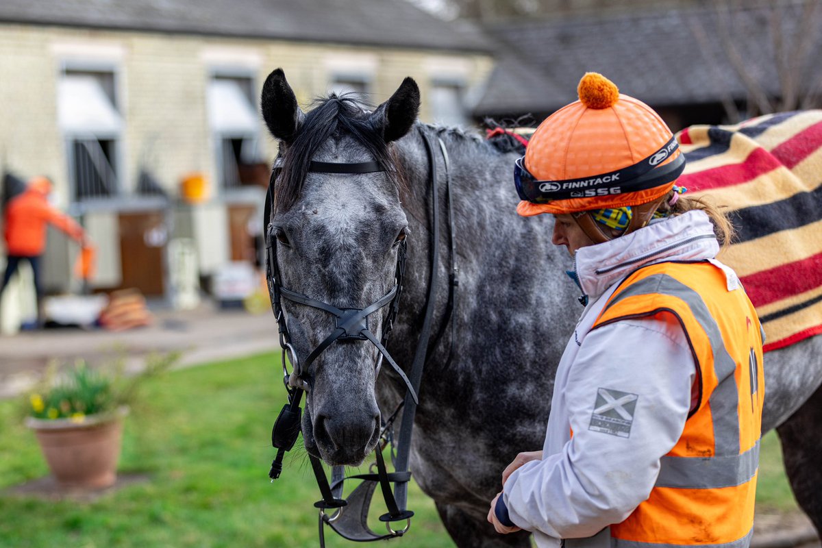 WilliamHaggas's tweet image. Quiet moments with the team and some of their stable favourites 🧡

#SL #SomervilleLodge #HorseRacing