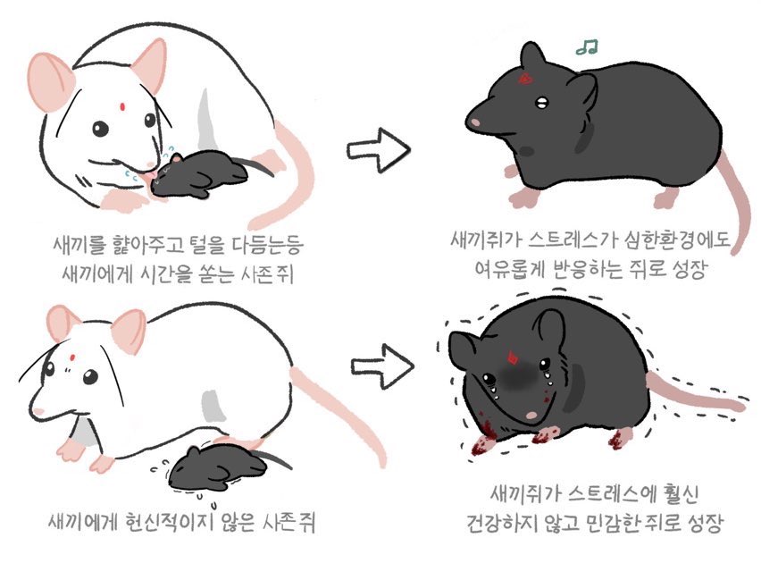 #svsss 유명한쥐실험