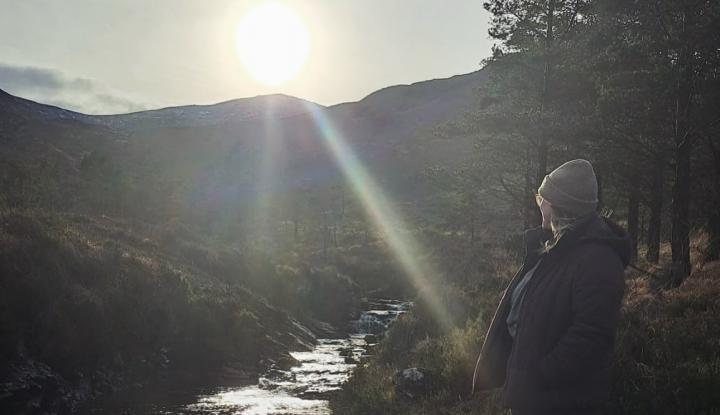 The Herald tweet media