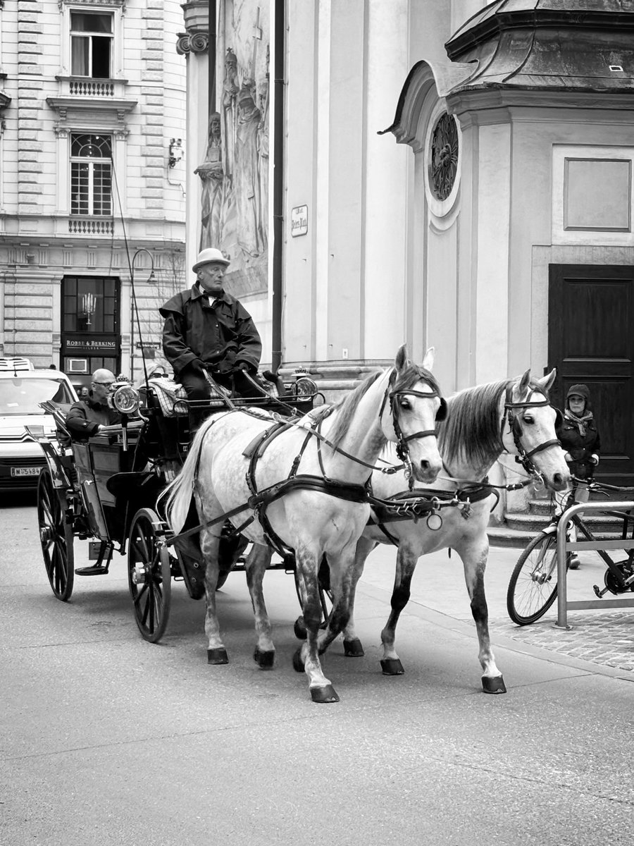 NCestach's tweet photo. Vídeň. Klasika. A kousek od Mexikoplatz se můžete přejíst v Semberija Grillu. A to to za hubičku! https://t.co/ZlZ0U2KwWF