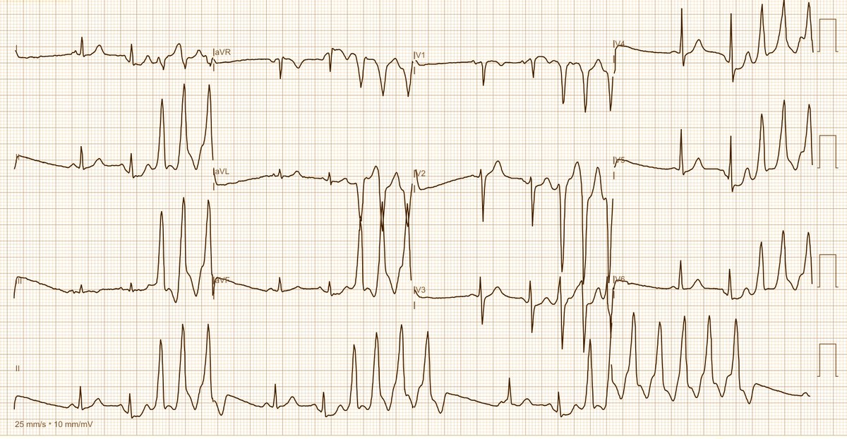 Dr. Andreas Roeschl tweet media