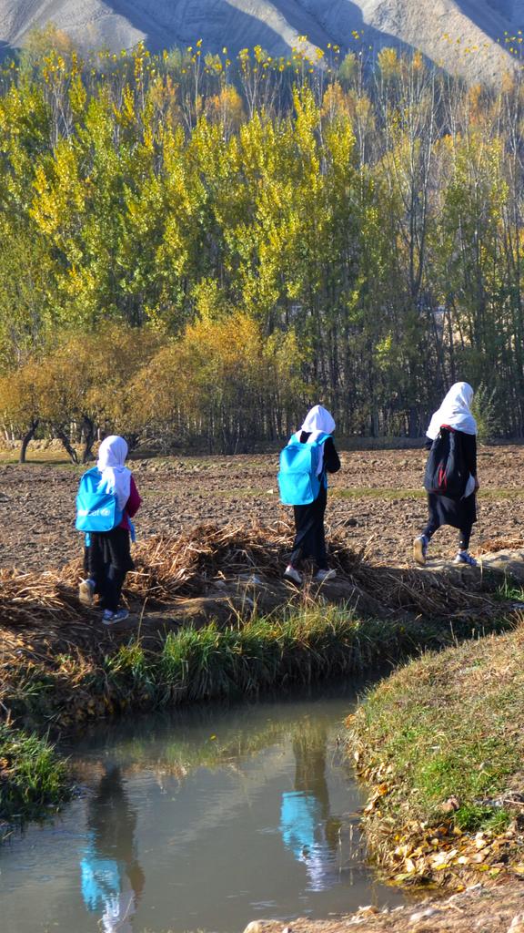 mosa_asi's tweet photo. حضرت مولانا چه زیبا فرموده است:

از بهاران کی شود سرسبز سنگ
خاک شو تا گل برویی رنگ‌رنگ

سال‌ها تو سنگ بودی دل‌خراش
آزمون را یک زمانی خاک باش https://t.co/M22PGClfLK