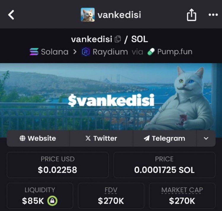 Coingifted's tweet photo. Caught #Vankedisi at $270k mcap in my private TG.
Join our private TG for more early calls.

#Solanna #MEMECoin
#asscoin #titcoin $jeeta $nftlx
#mubarak $memdex $fat $giza $guess $pvs $img $moby #degen
#Trump #DOGE $moby $sigma $giga $ponke $vine $pnut
$Ilm $buzz https://t.co/y6ed7p0ktB