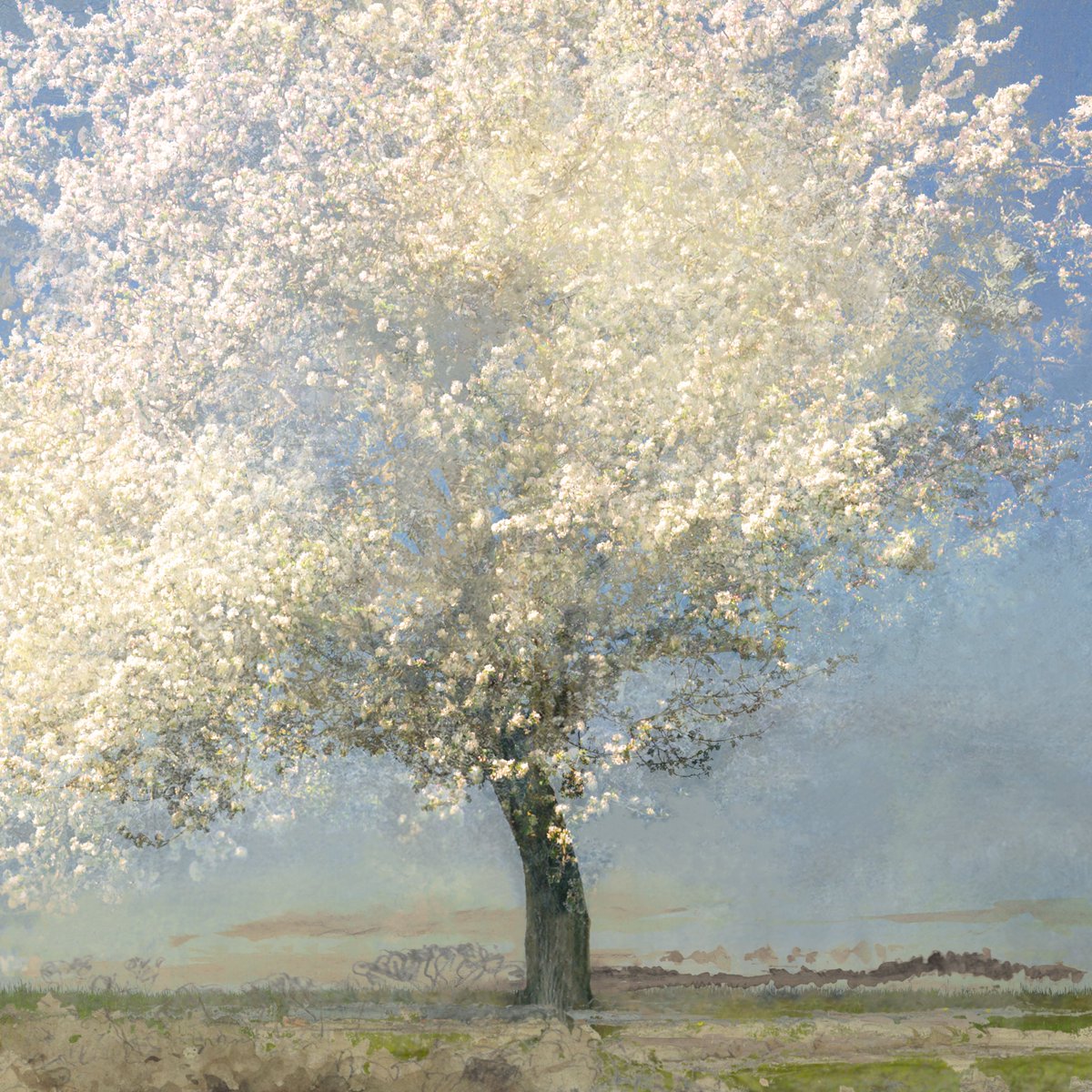 SaskiaBoelsums's tweet image. Lente