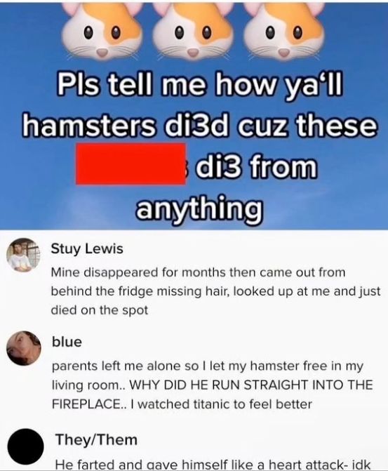 GmtrgYUbwAAXAW8