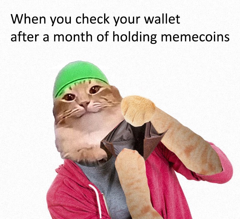 It’s empty $tabibi